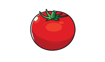 tomate, vegetal, vector, ilustración, diseño vector