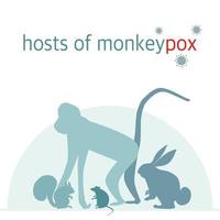 Monkeypox outbreak concept ,Monkeys and rodents such as rats, rabbits and squirrels are carriers of the monkey pox virus.flat design  vector illustration,silhouette style.