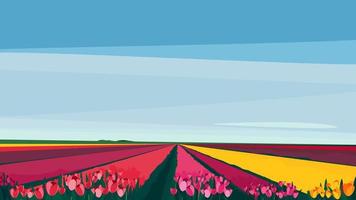 Field with different tulips. vector