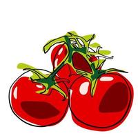 Tomates de boceto de garabatos dibujados a mano por vectores. para impresión, papel tapiz, diseño de papel de embalaje, textiles, cuadernos, blocs de notas, vajillas y otras cosas. vector