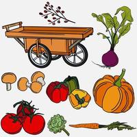 verduras de otoño. conjunto de verduras con un carro de madera vector