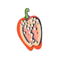 Vector Half bell pepper drawn in paper cut style. Vegetable illustration for design.