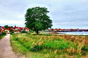 svaneke on Bornholm island photo