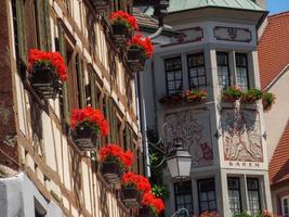 summer tiem at the lake constance in germany photo