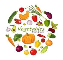 Food set. Set of vegetables. Vector