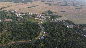 Drone view winding river at oil palm video
