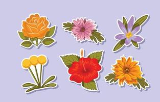 Fall Flowers Stickers vector