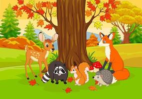Cartoon wild animals in the autumn forest vector