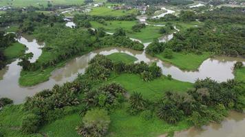 luchtfoto rivier sungai perai in de buurt van groen bos video