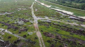 movimiento aéreo sobre la ruta de inundación en la limpieza de tierras de palmeras aceiteras video