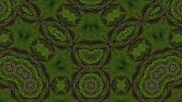 Kaleidoscope green plant background video