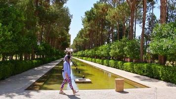 Tourist walk around persian garden in Yazd, Iran video