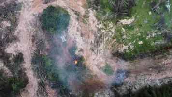 Aerial view tractor involve in open burning of oil palm tree video