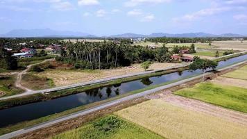 Aerial fly over green paddy field video