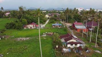 village malais avec des noix de coco plantées autour video