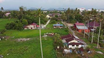 Malays village with some coconut planted around video