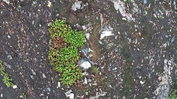 movimiento aéreo sobre el vertedero de basura río fangoso video