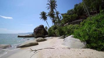 Tilt up the coconut trees and hut video