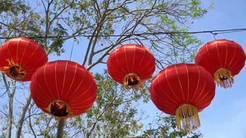 Chinese new year lantern video
