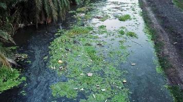 flujo de basura en el río oscuro. problema ecológico. Contaminación ambiental. video