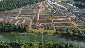 Drone view electric tower in the farm video