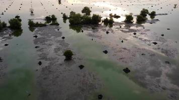 vue aérienne beauté reflet du soleil sur les zones humides video