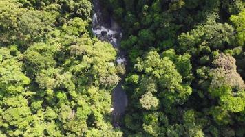 vista aérea siga a fonte do fluxo de água na floresta video