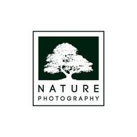 silueta de árbol grande antiguo en marco de fotos vintage para diseño de vector de logotipo de fotografía de naturaleza