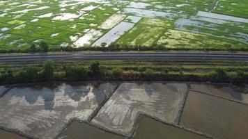 Aerial sliding over railway surrounded by paddy field video