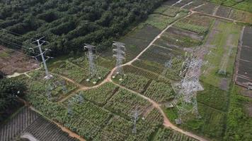 en hel del elektrisk pylon i plantagefält video