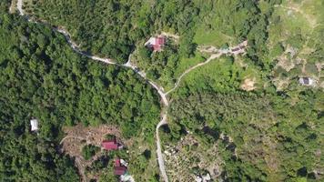 Aerial view farm plantation at hill video