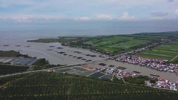 vista aerea kuala kurau villaggio di pescatori vicino alla fattoria delle palme da olio video