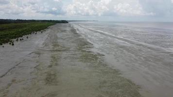 Aerial view dry muddy land at sea coastal video