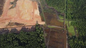 Aerial view site development and oil palm clearing video