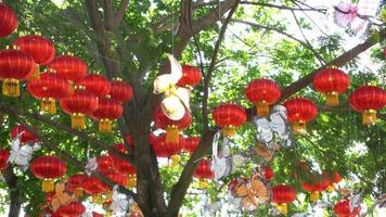 Decoration butterfly with red lantern video