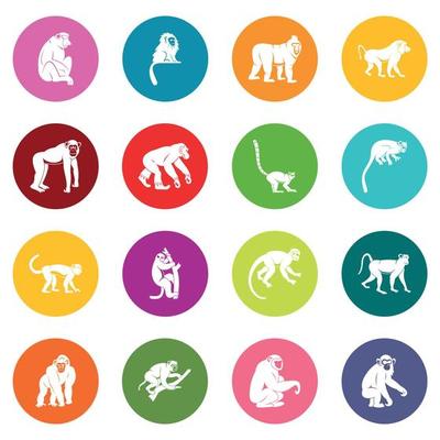 Monkey types icons many colors set