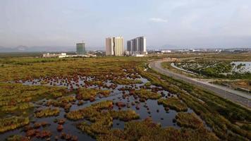 cidade de desenvolvimento de vista aérea perto do pantanal video