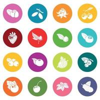 Berries icons set colorful circles vector