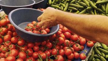 pomodoro biologico e sano succoso su un mercato video