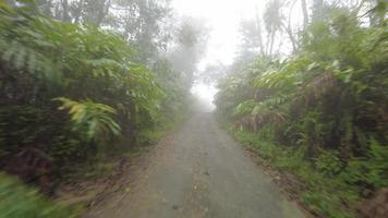 moverse en la carretera asfaltada en la jungla en niebla brumosa