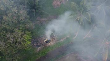 vista aérea mirar hacia abajo quema abierta en la plantación video