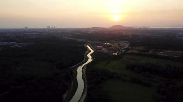 drone ver o pôr do sol sobre a plantação de dendezeiros video