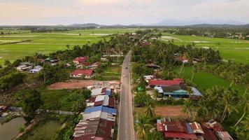 Aerial view Malays village planted with coconut trees video