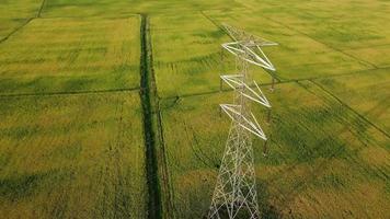 spåra elektrisk pylon i fält video