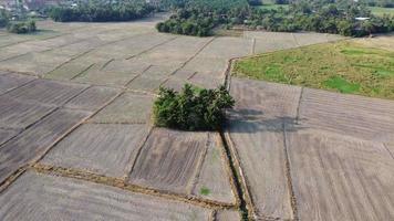 Aerial view plowed agricultural field video