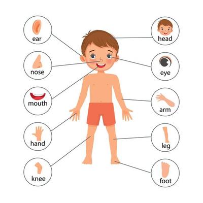 Thumb Circle Game Tag Child PNG, Clipart, Angle, Arm, Art, Artwork