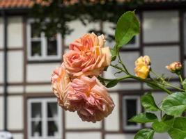 ystad y trelleborg en suecia foto