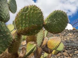 the canary island lanzarote in spain photo