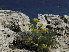 la isla de gozo en el mar mediterráneo foto