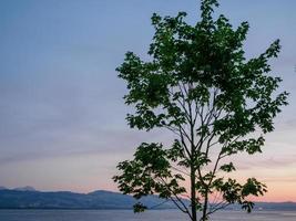 lindau at the lake constance in germany photo